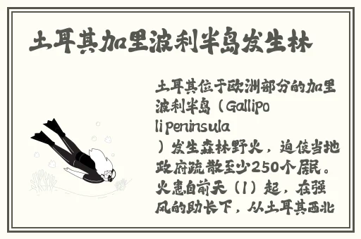 久久久久精品国产三级美国美女